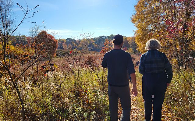 Fall hike at Paw Paw Prairie Fen Preserve