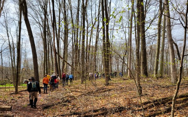 A group of people walk along a curved path at the Nan Weston Nature Preserve at Sharon Hollow. 