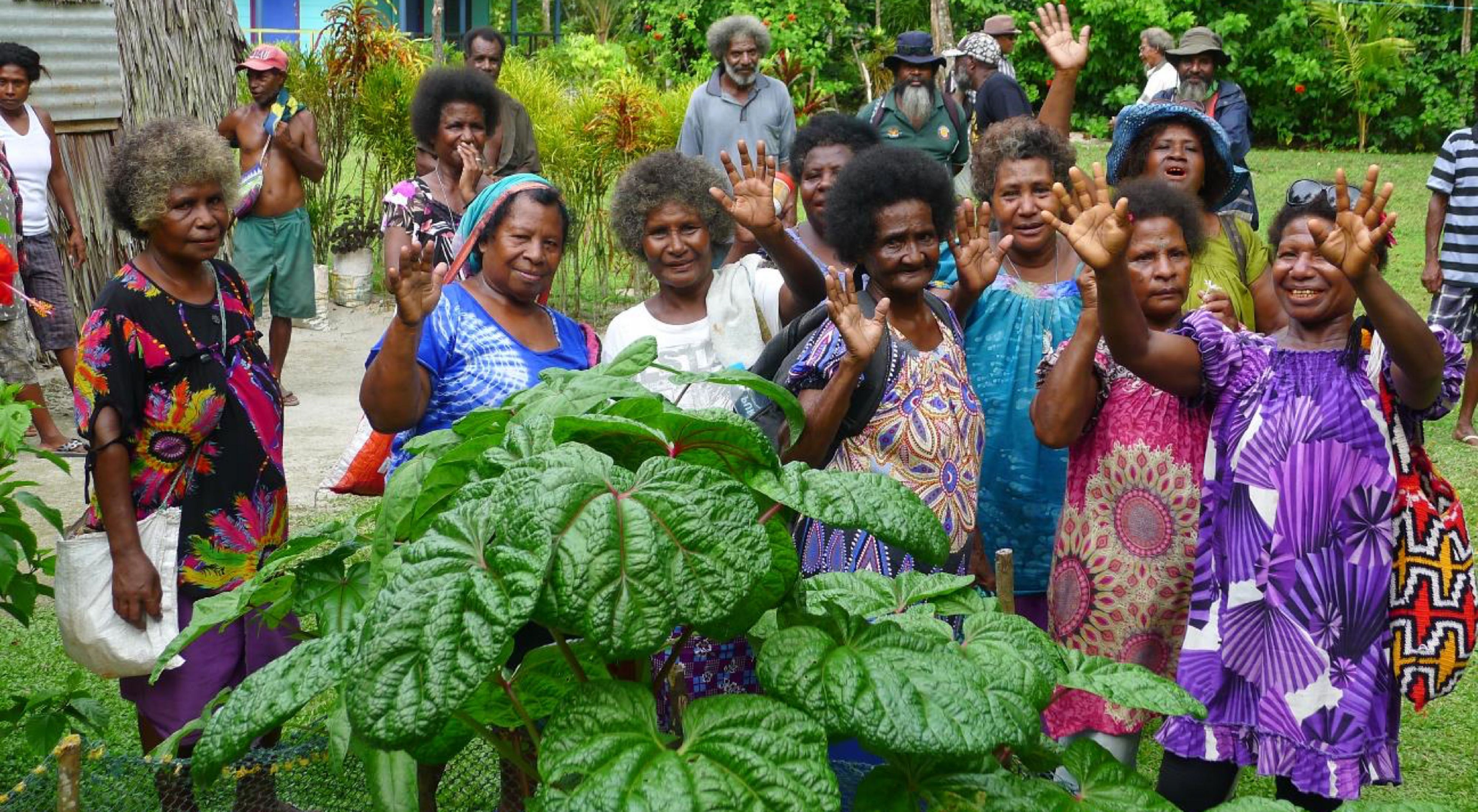 women from Papua New Guinea are exploring new sustainable business opportunities.