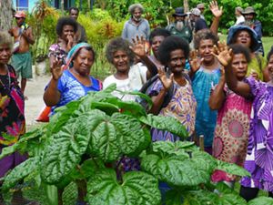 A group of women in Papua New Guinea wave.