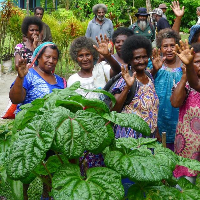 A group of women in Papua New Guinea wave.