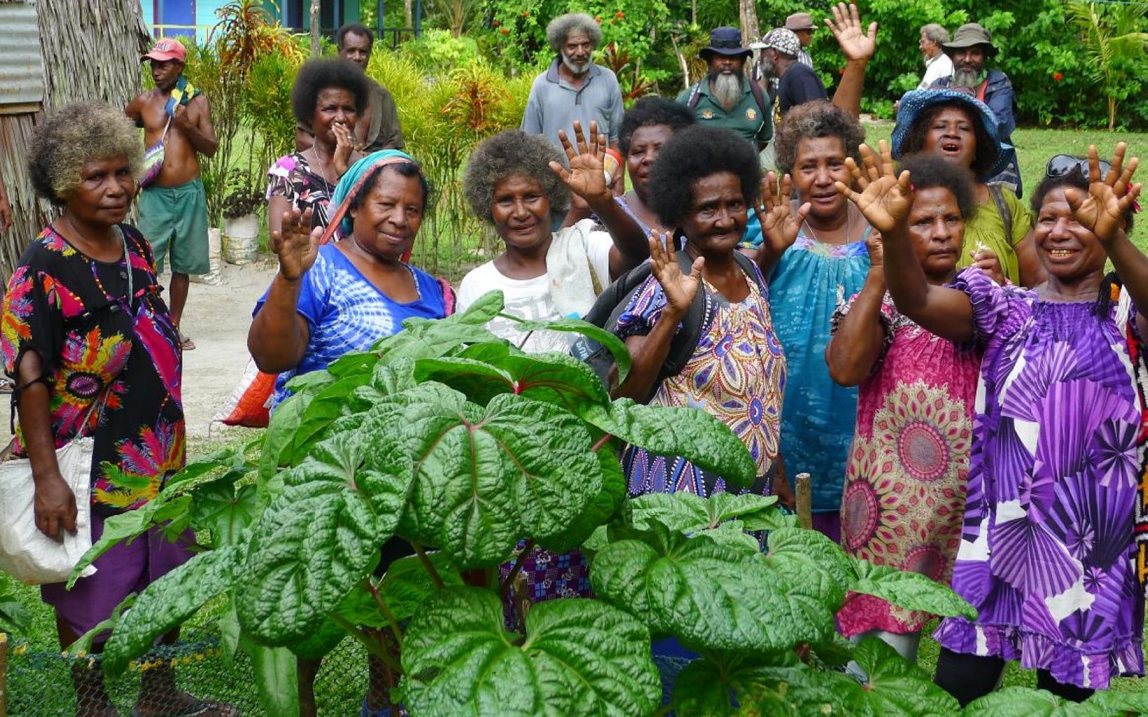 Mangoro Market Meri women of Papua New Guinea