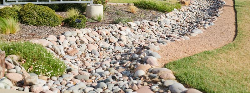 A pathway of tan and grey rocks linked with green plants and grass.