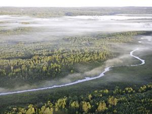 An aerial view of a foggy forest with a river running through.