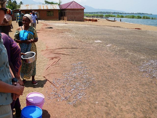 A stop at a village on Lake Tanganyika where the group learned about sustainable fishing practices.