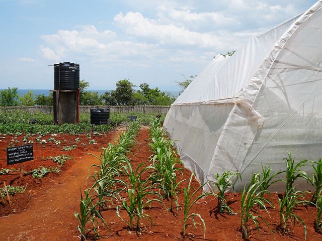 Conservation Smart Agriculture sites, like this one, demonstrate and test different techniques to improve crop yields and reduce sediment loss.