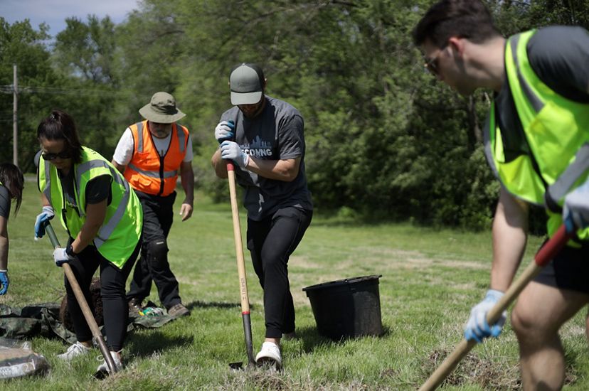 A small group of people using shovels to plant trees in a grassy field.