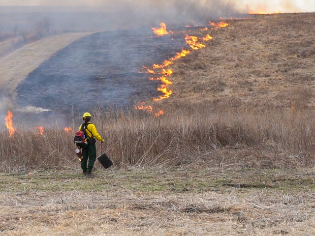 Women carrying drip torch at a prescribed burn.
