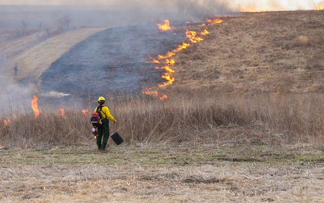 A person in yellow fire-protective gear watches a fire line in an open prairie field.