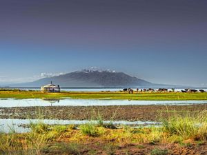 A yurt sits on the shore of a large lake where cattle graze nearby. A mountain rises in the background.