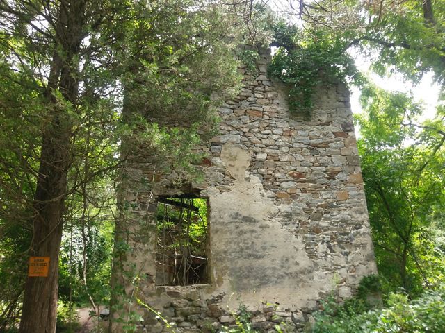 Old house remains in the woods. 