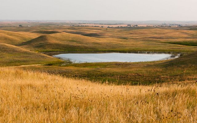 Overlooking the Missouri Coteau at the Davis Ranch in North Dakota that provides resilient habitat for nesting waterfowl in the face of climate change.
