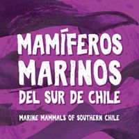 Esta nueva y completa guía de campo te invita a conocer las 39 especies de mamíferos marinos que se encuentran en el sur de Chile. 