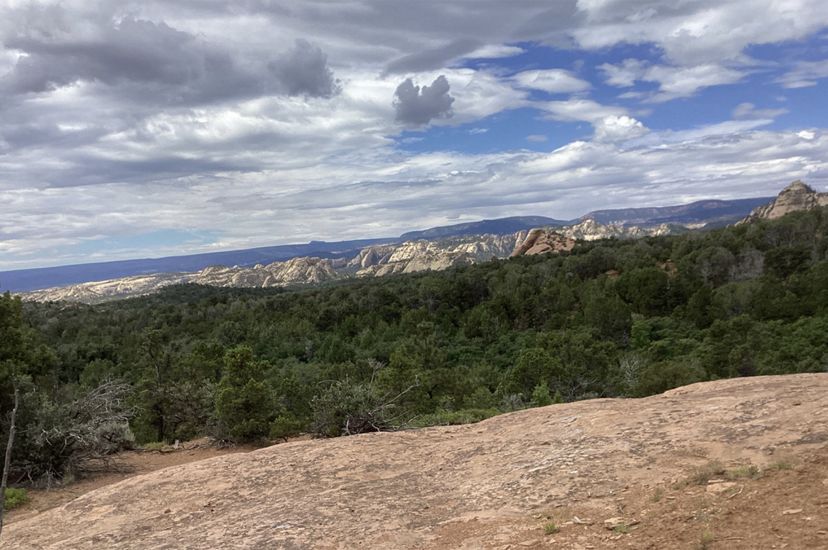 View from a rock outcrop looking out across a tree filled valley towards towering mesas with a dark line of mountain ridges lining the horizon.