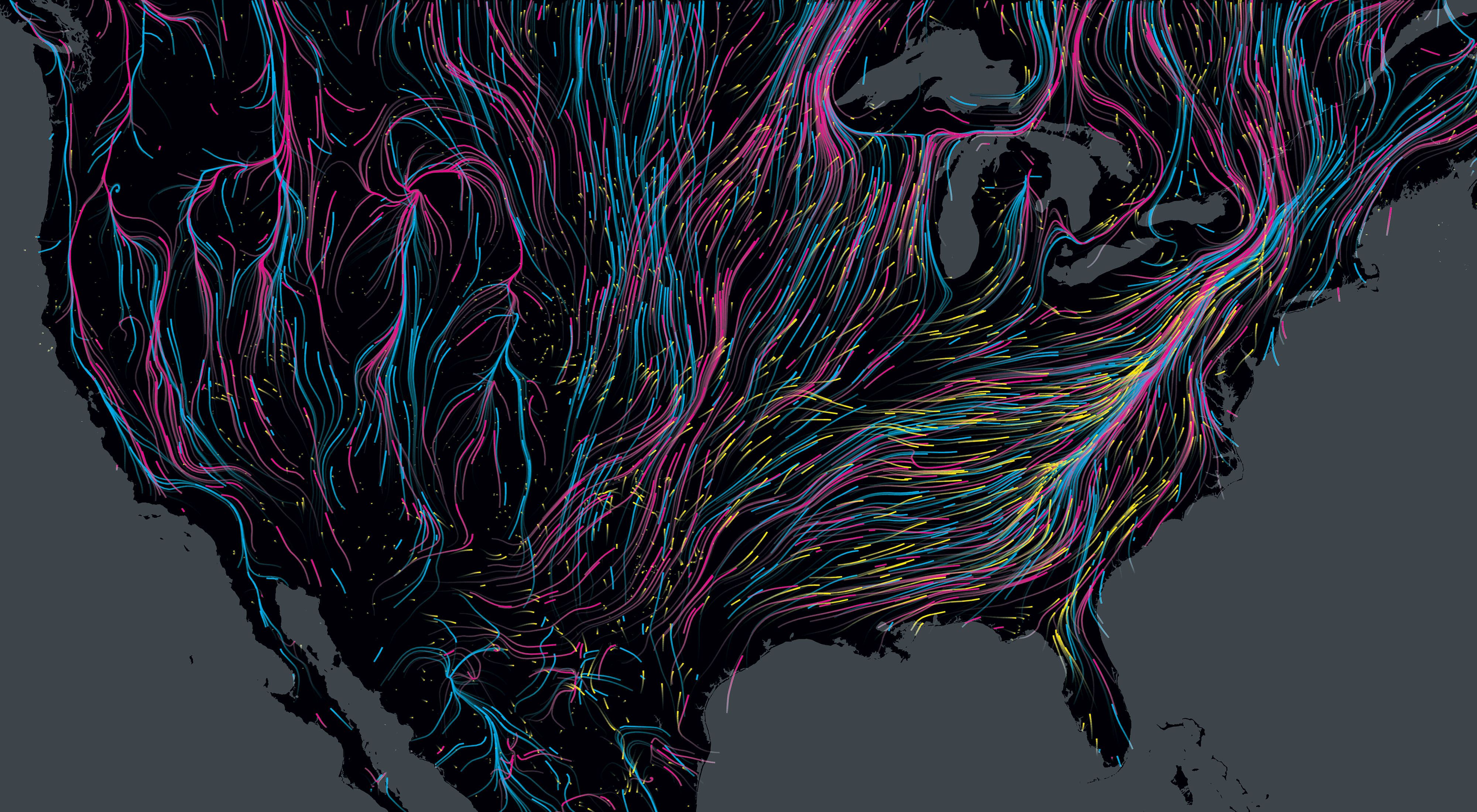 Un mapa de los Estados Unidos se entrecruza con los coloridos caminos que toman diferentes animales mientras migran.