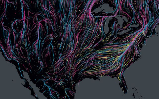 Colorful lines show the migration routes of mammals, birds and amphibians across the United States, represented as a large black land mass.
