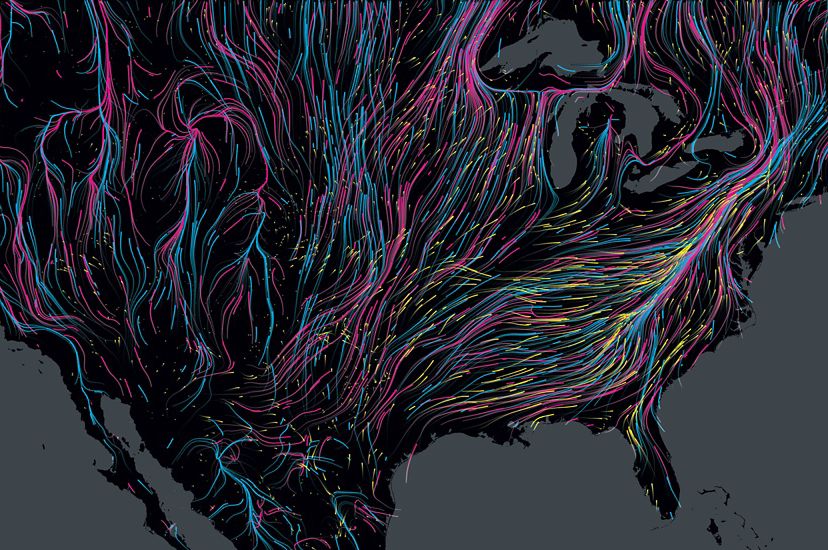 Colorful lines show the migration routes of mammals, birds and amphibians across the United States, represented as a large black land mass.