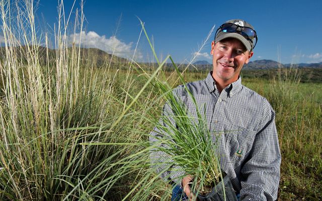 Mark Haberstich holding a plastic pot containing native grasses ready to be planted at a restoration site.