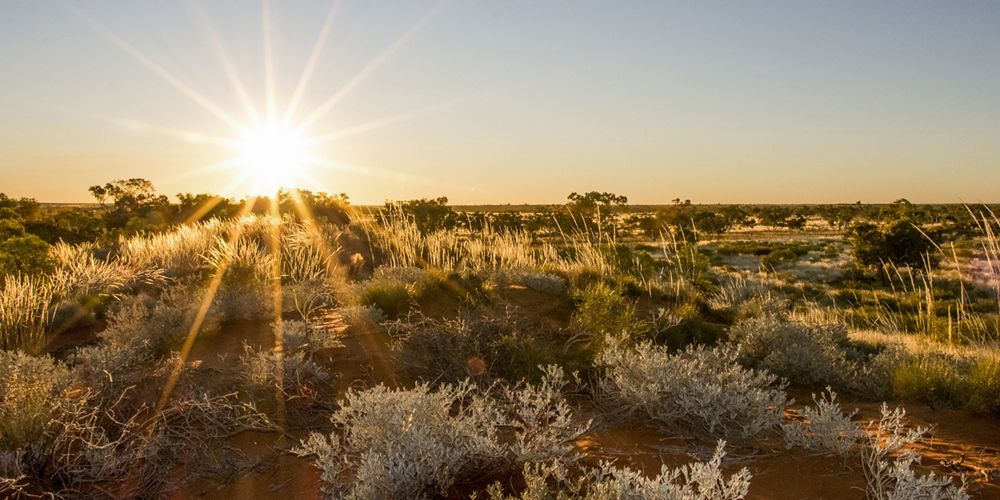 Sunset looking over the red desert sands of Martu Country, Western Australia