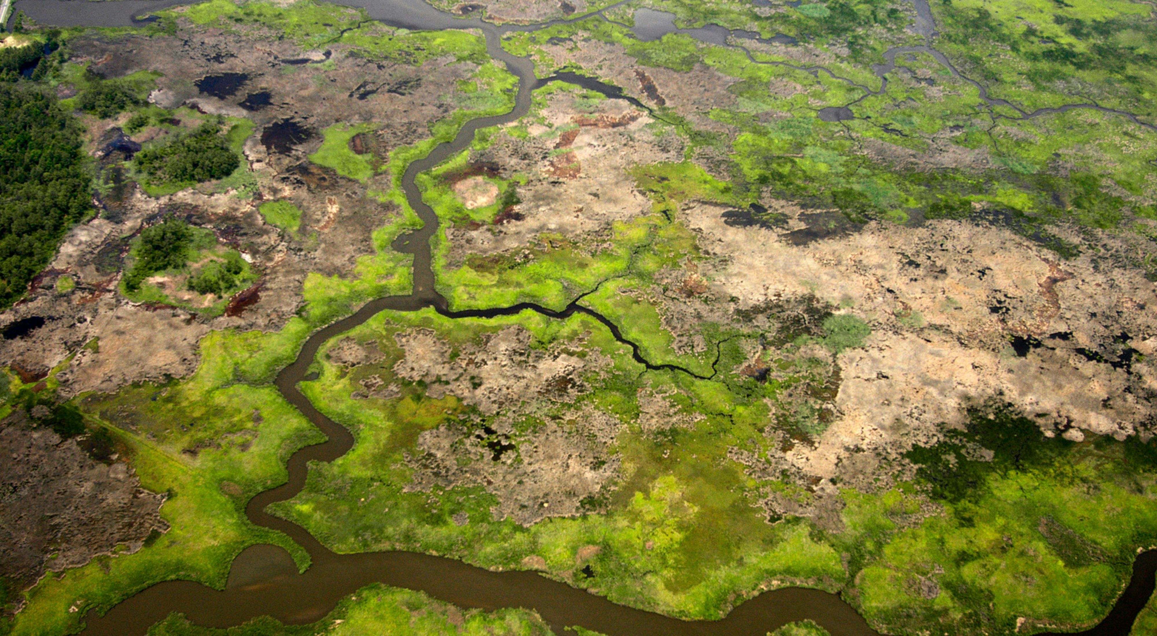 Aerial photograph of the wetlands in Maryland's Fishing Bay Wildlife Management Area.
