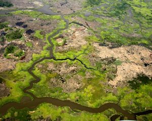 Aerial view of the wetlands in Maryland's Fishing Bay Wildlife Management Area.