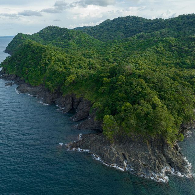Aerial view of steep cliffs rising up from the ocean. The summits are covered in thick, green forests.