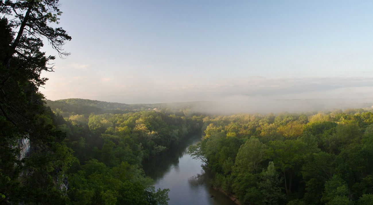An aerial view of a river running through a forested area.