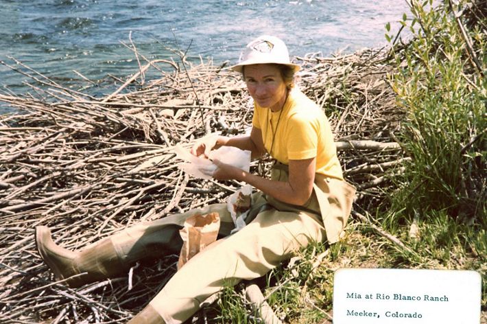 A woman sits on a bed of sticks at the edge of a body of water.