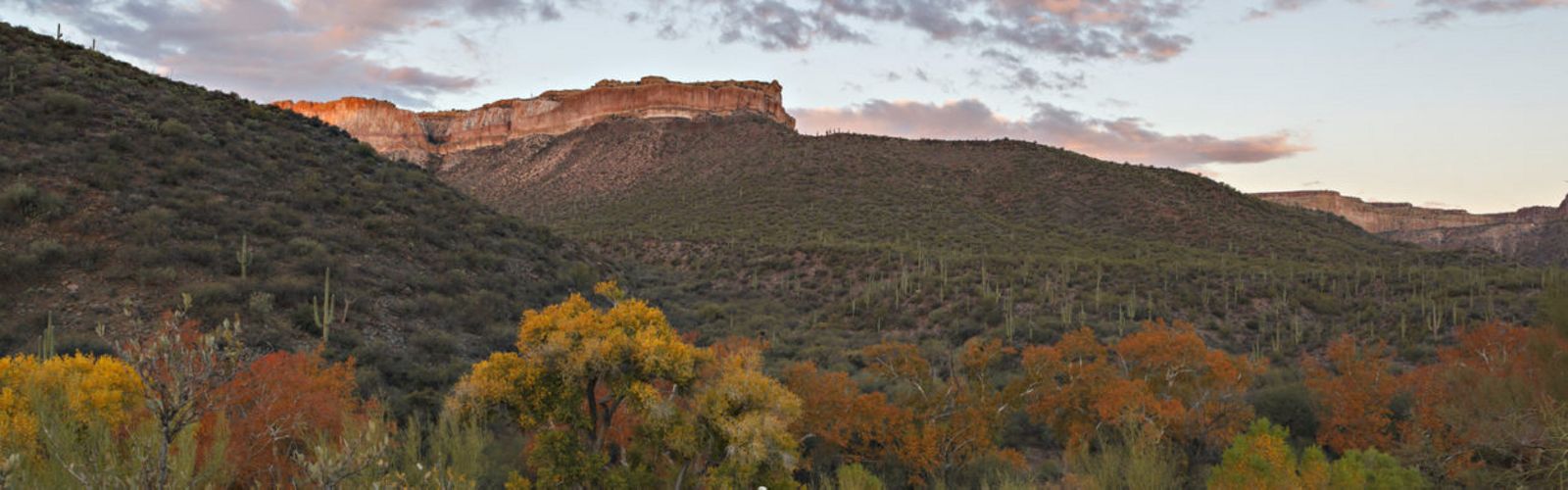 The vertical cliffs of Aravaipa Canyon stand as witness to the lowlands that meet the northern edge of the Galiuros in Arizona.