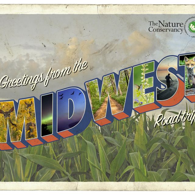A vintage Midwest postcard.