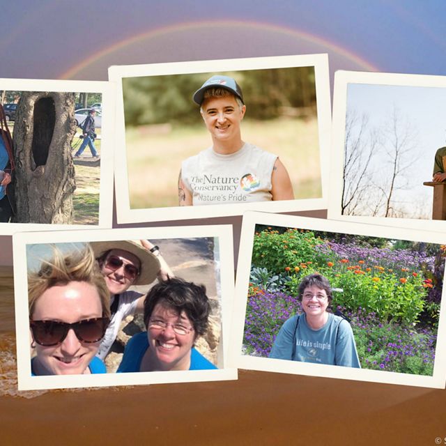 Five photos of individuals over a rainbow on a Great Lakes shoreline.