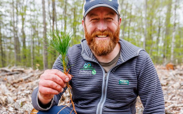 Mike Crawford holds up a tiny tree seedling and smiles at the camera.