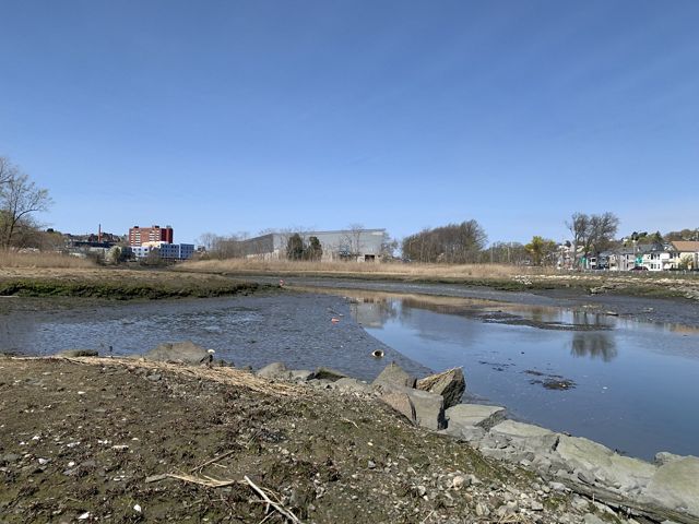 A small creek runs through a pebbled and marshy wetland, with some warehouses and other buildings in the background.
