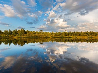 A pale blue sky with clouds is reflected in a still lake that is bordered by trees. 
