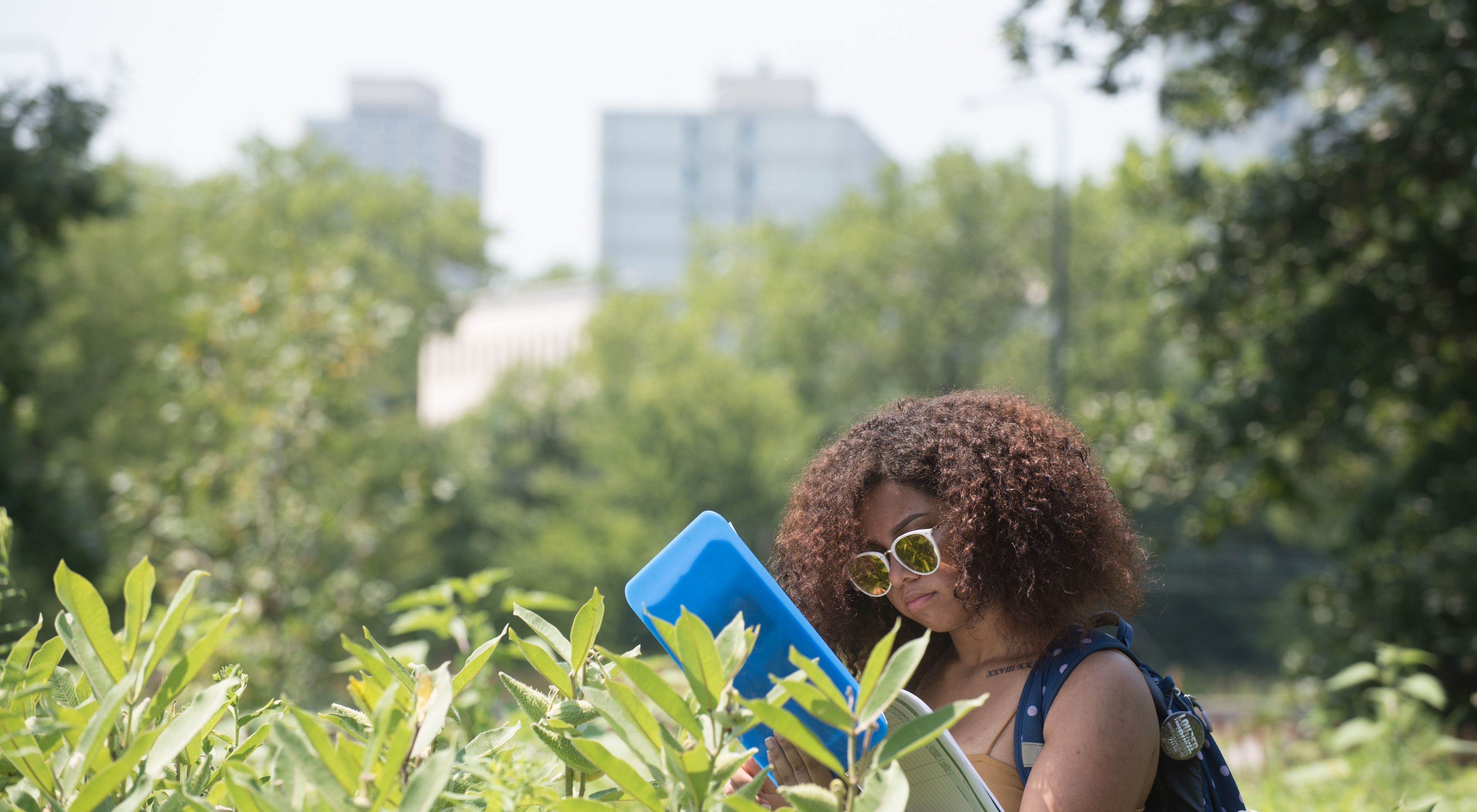 A woman checks her notebook while monitoring for monarch butterflies in a prairie with city buildings in the background