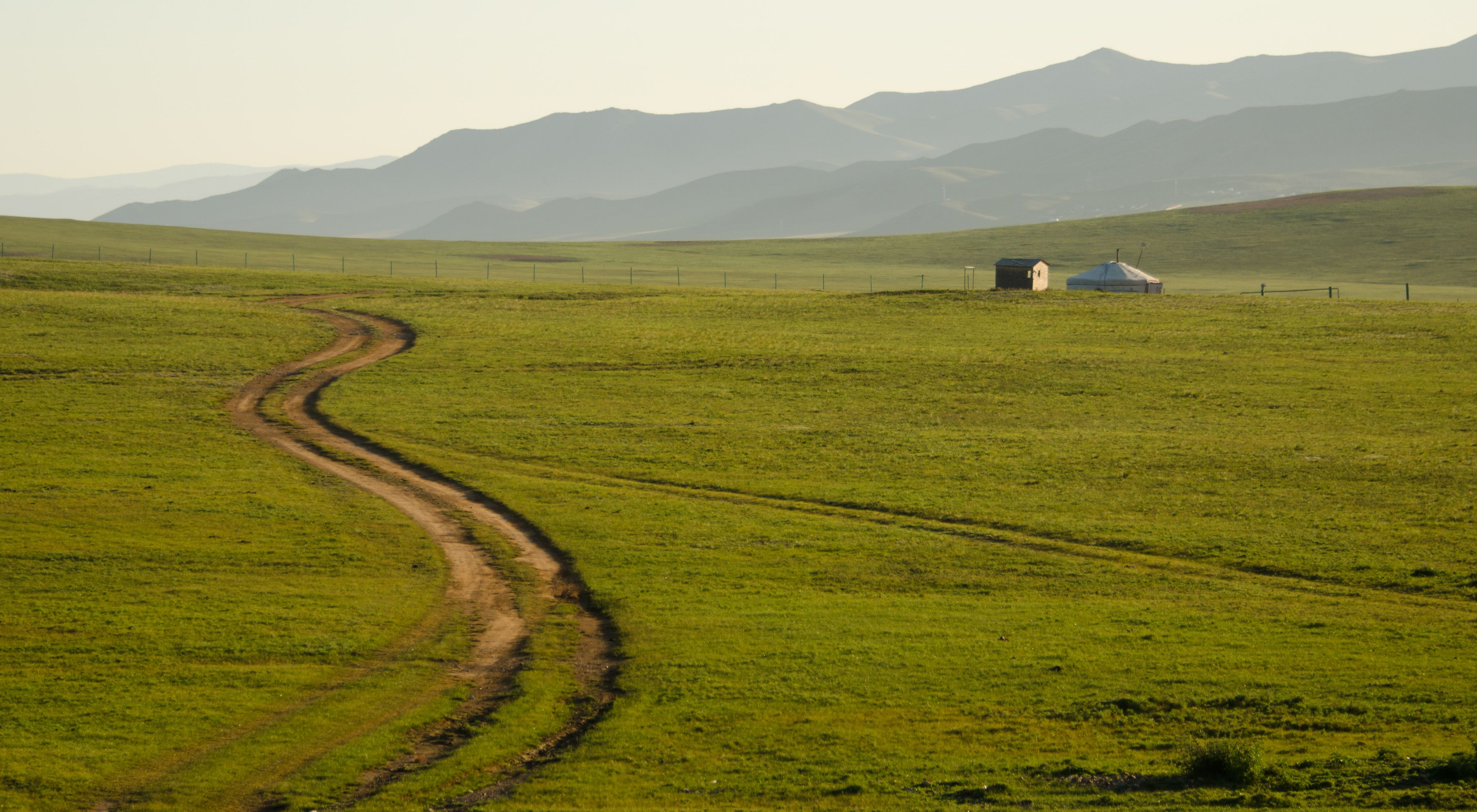 on the open grasslands of Mongolia in central Asia