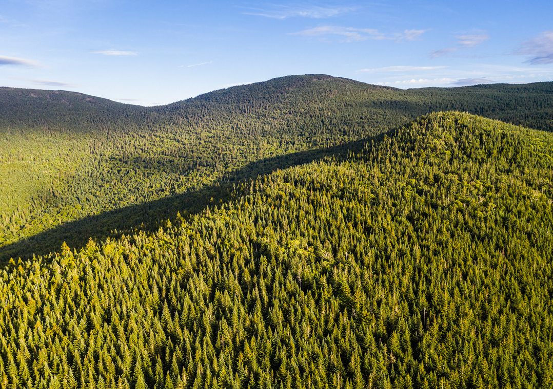 A view from above of forested green mountains.