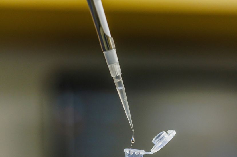 A blue-gloved hand uses an eye-dropper to deposit DNA strands into a test tube.