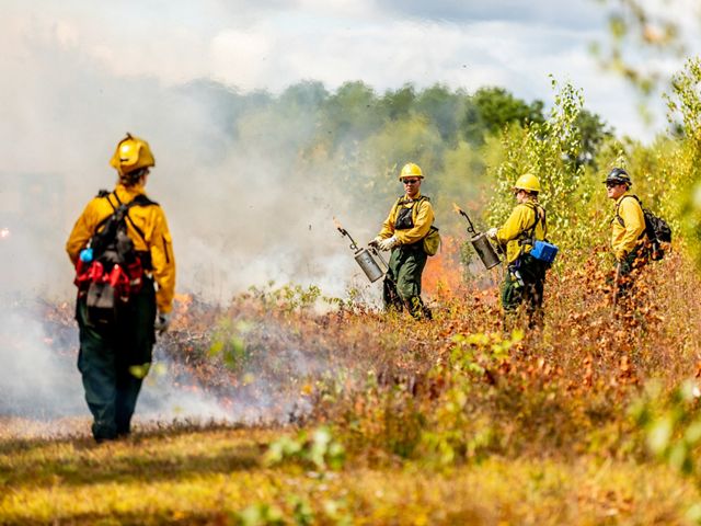 Prescribed burn on the grassland at The Nature Conservancy's Kennebunk Plains Preserve in Kennebunk, Maine.