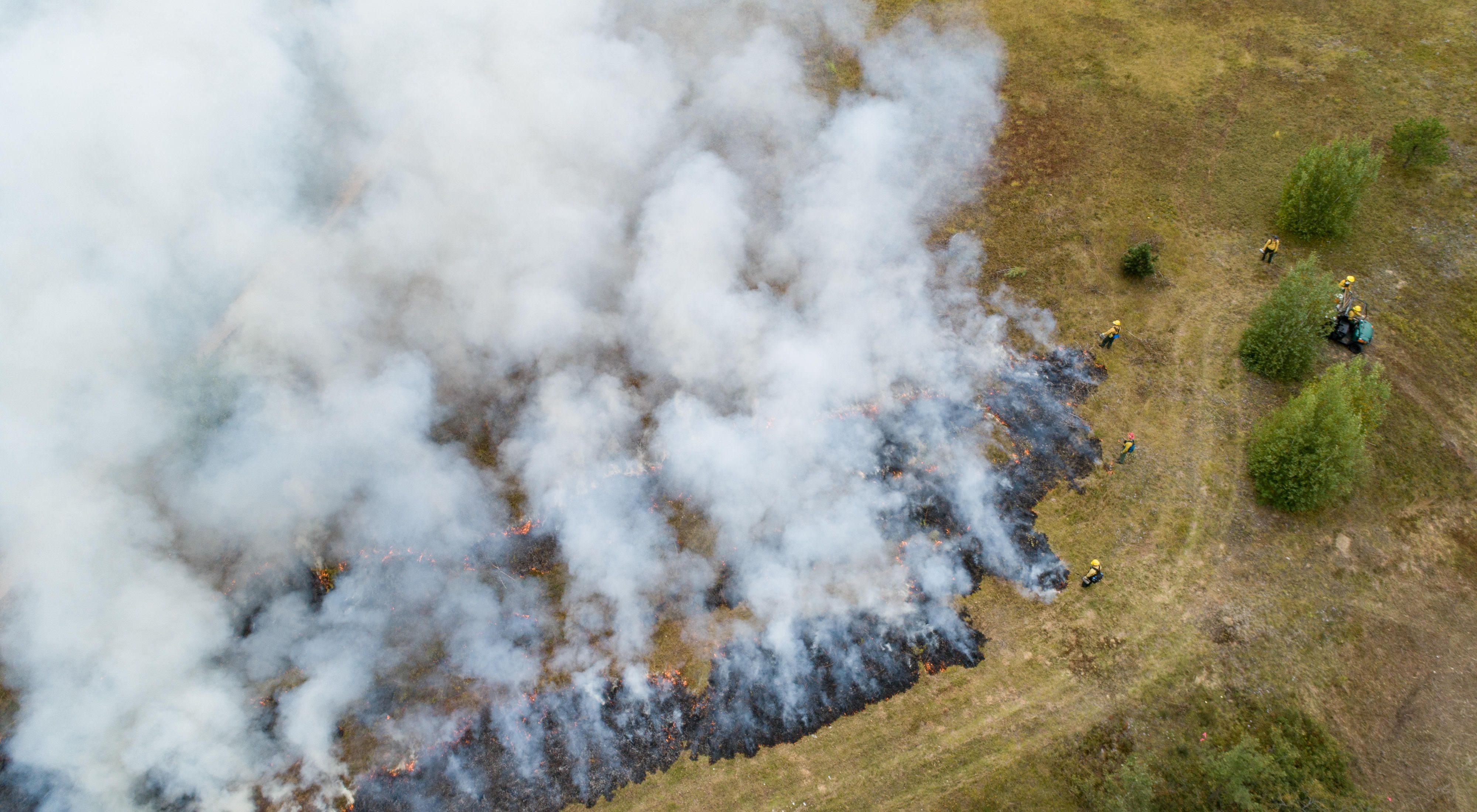 Crew members work the edges of a controlled burn on the grassland at Kennebunk Plains Preserve.