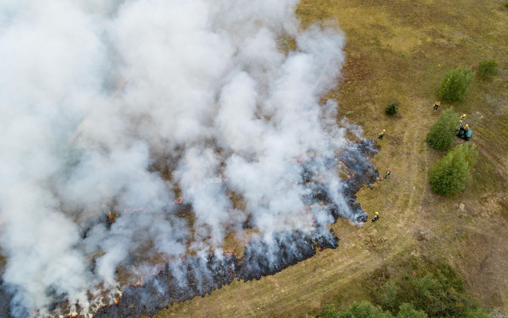 Crew members work the edges of a controlled burn on the grassland at Kennebunk Plains Preserve.