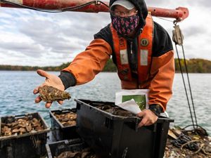 A man wearing orange rain gear stands on a boat surrounded by large containers of oysters. He extends his arm to show the large oyster he holds in his hand.