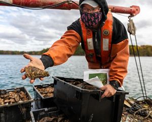 A man wearing orange rain gear stands on a boat surrounded by large containers of oysters. He extends his arm to show the large oyster he holds in his hand.