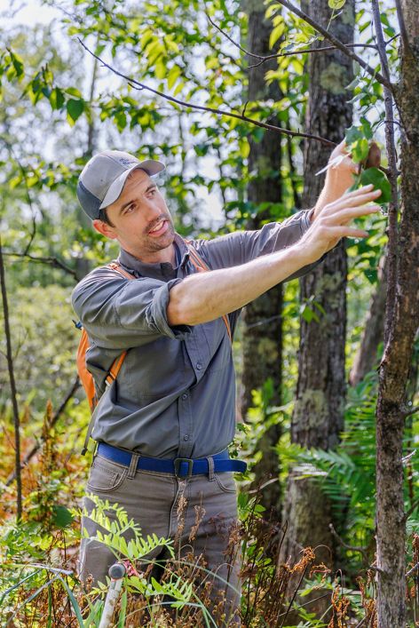 Gus Goodwin stands in a grove of trees, gesturing toward the branches of a slender sapling.