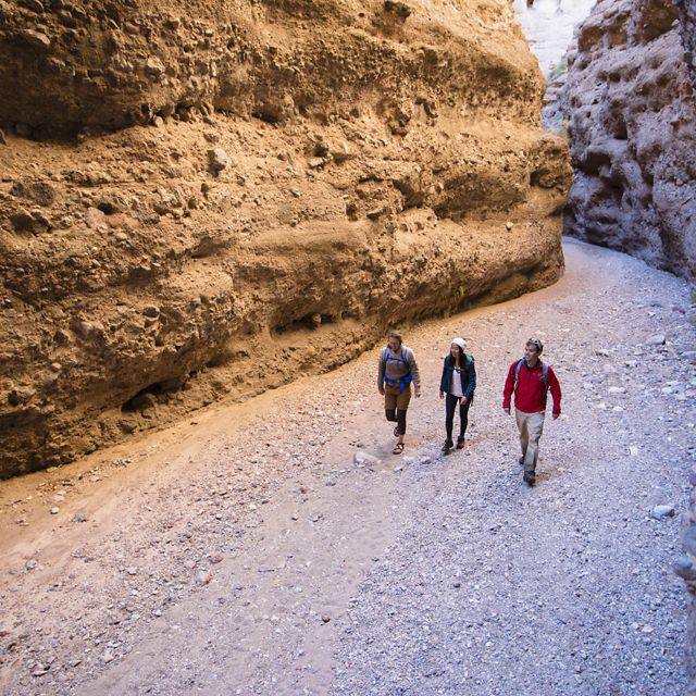 Three people hike through a sunlit canyon.