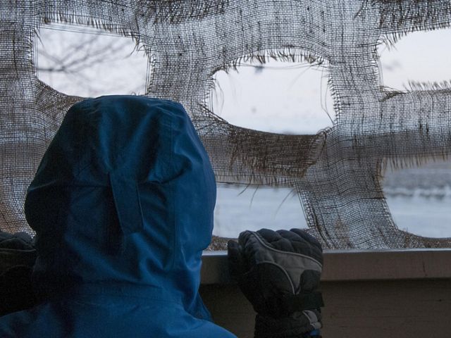 A person looks out through the gauzy cover of a bird blind.