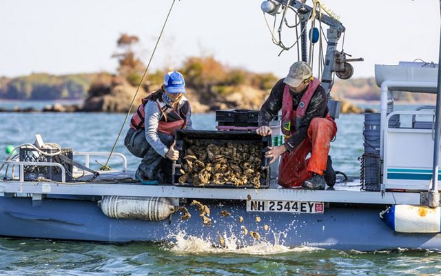 two people tipping oyster shells into the water from a boat