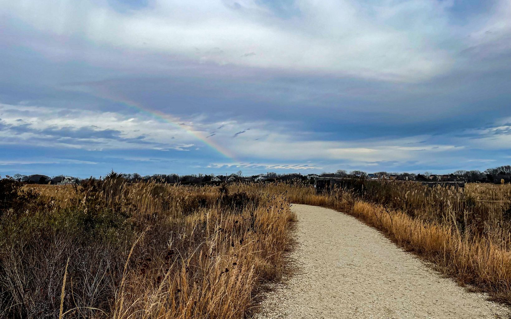 A rainbow is in the sky above a nature trail.