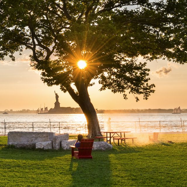 Sun shining through a tree on grass in front of the Hudson River with the Statue of Liberty in the back.