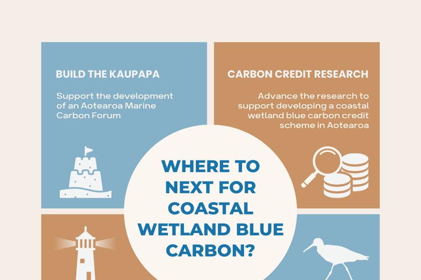 Infographic showing a grid with illustrations of four areas to accelerate blue carbon work in New Zealand.